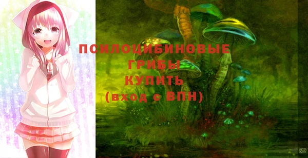 тгк Арсеньев